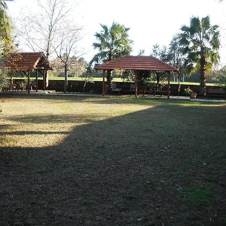 Salkim