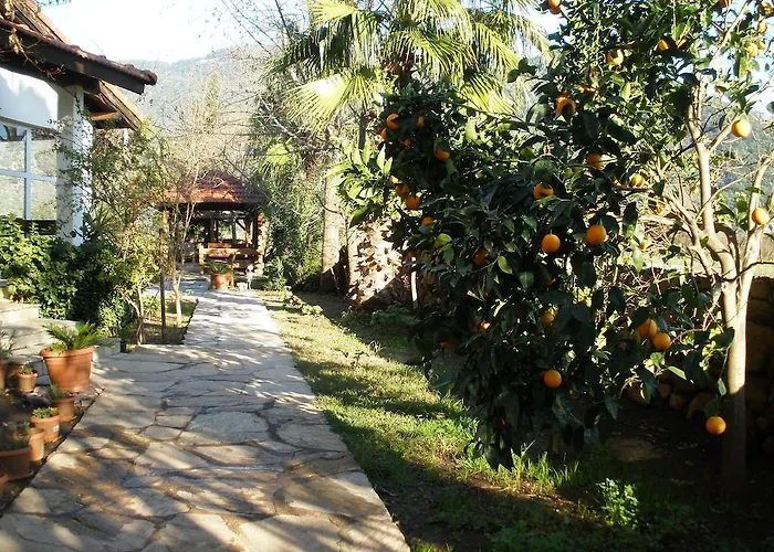 Oda ve Kahvaltı Salkim Ekincik