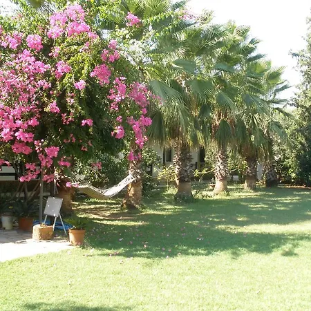 Salkim Couette-café Ekincik