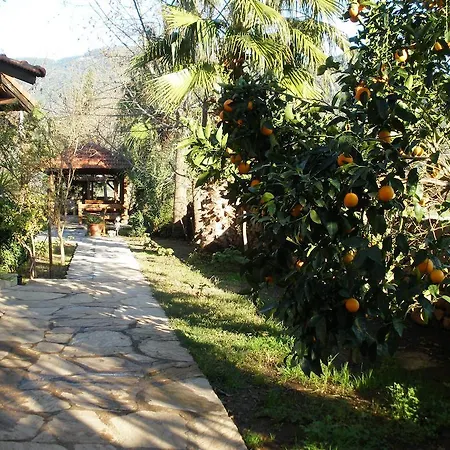 Bed & Breakfast Salkim Ekincik