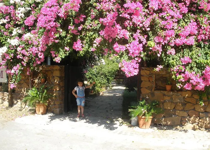 Bed & Breakfast Salkim 3*