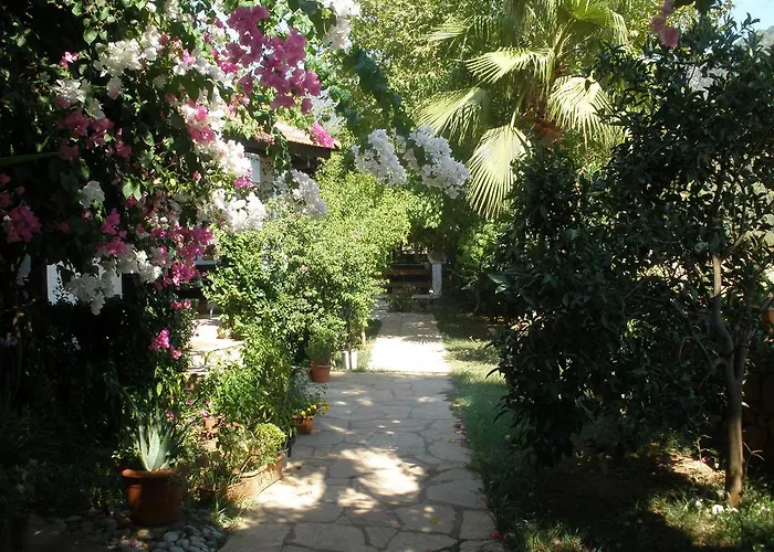 Bed & Breakfast Salkim Ekincik